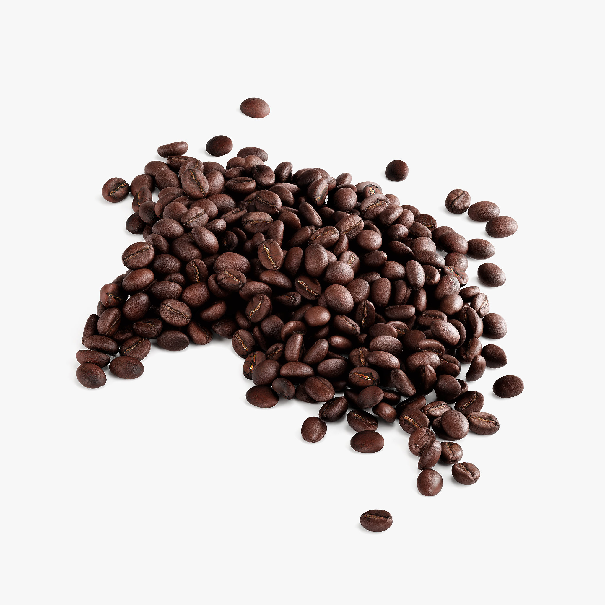 Forest Decaf Coffee (Medium Roast) - 4
